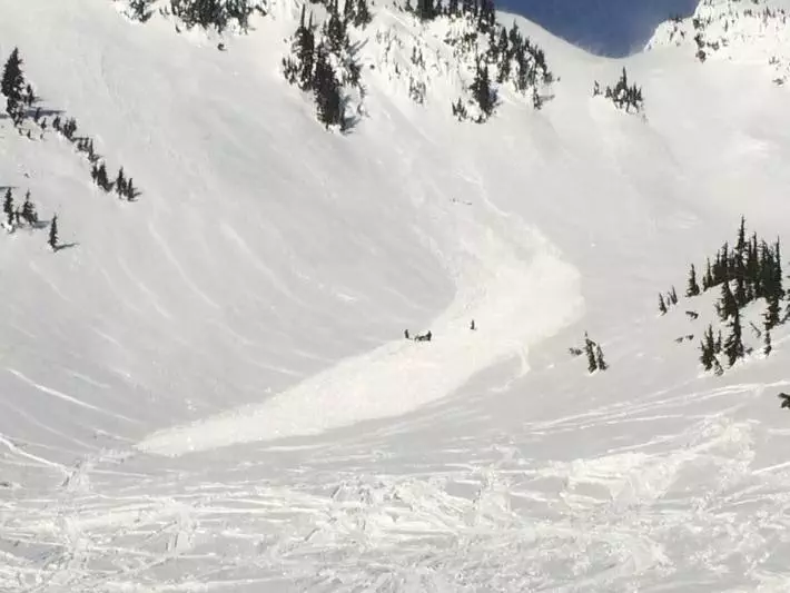 The Chocolate Bowl avalanche on January 11. Note the forgiving run out zone. | Photo by David Cote