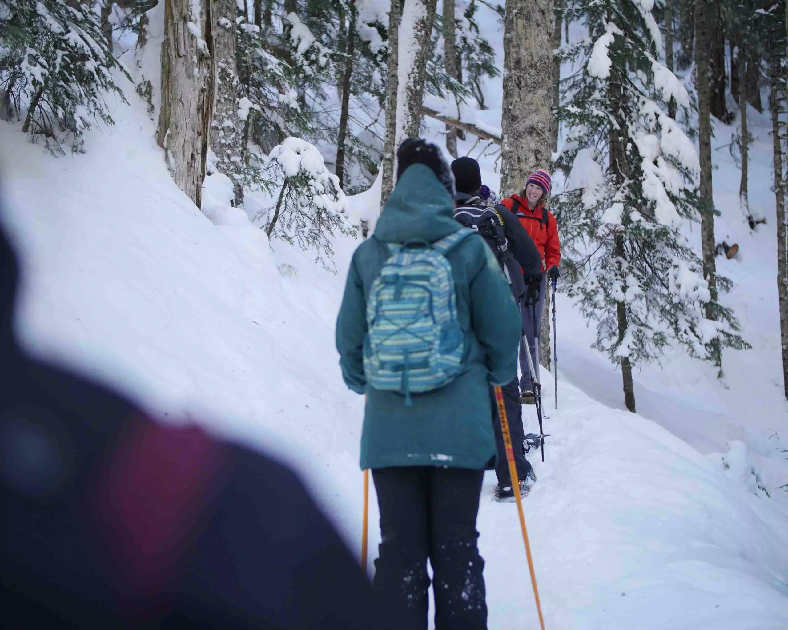 Snowshoers in line with MSAA Guide
