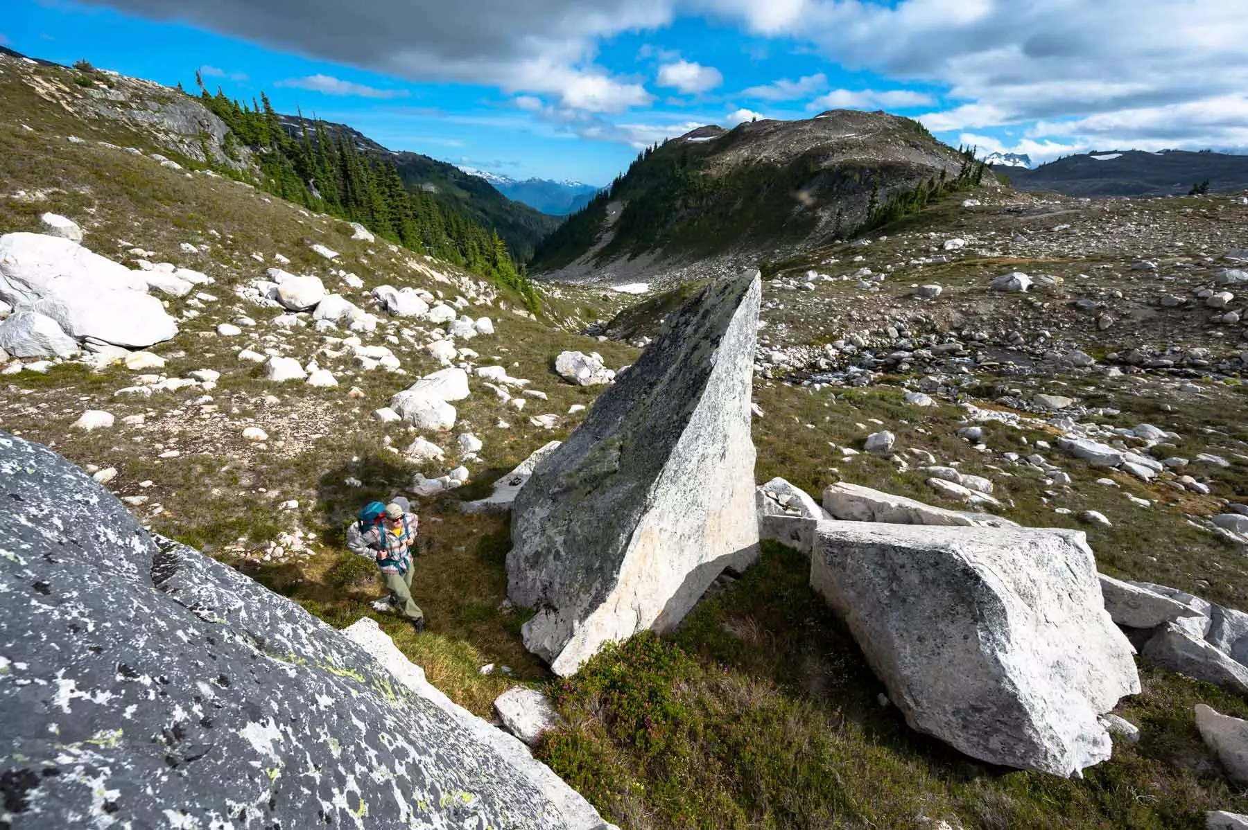 whistler alpine wilderness hiking