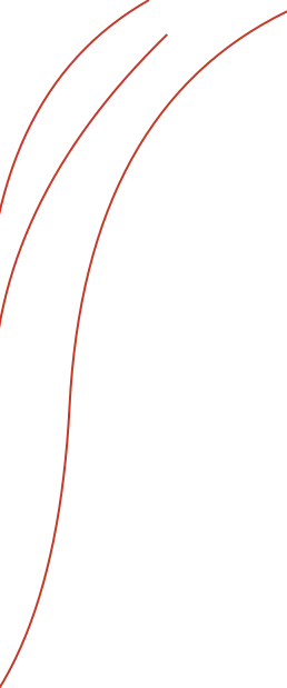 A red line is drawn on a black background during an adventure tour guided by Whistler.
